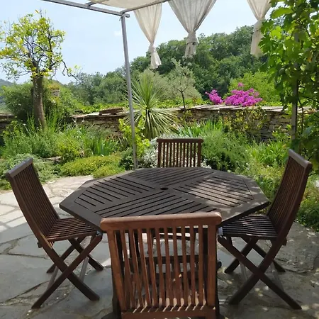 La Gallinella