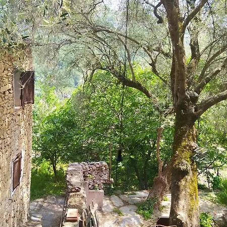 La Gallinella