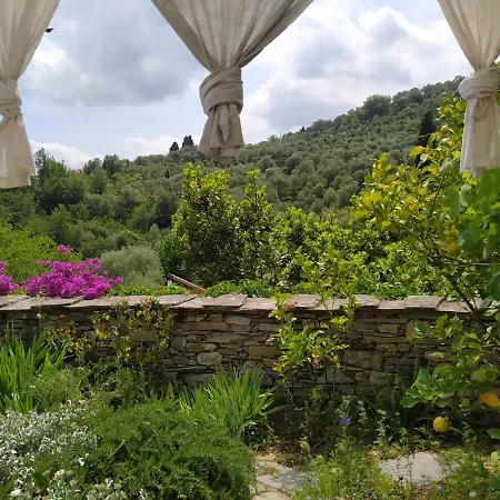La Gallinella *