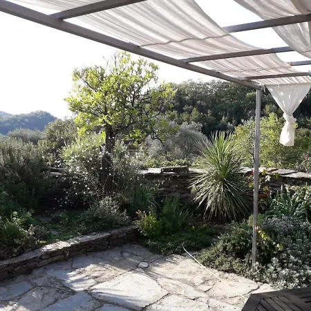 La Gallinella * Pantasina