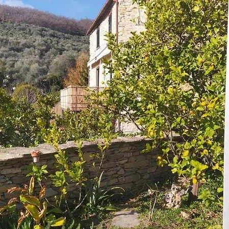 La Gallinella Pantasina